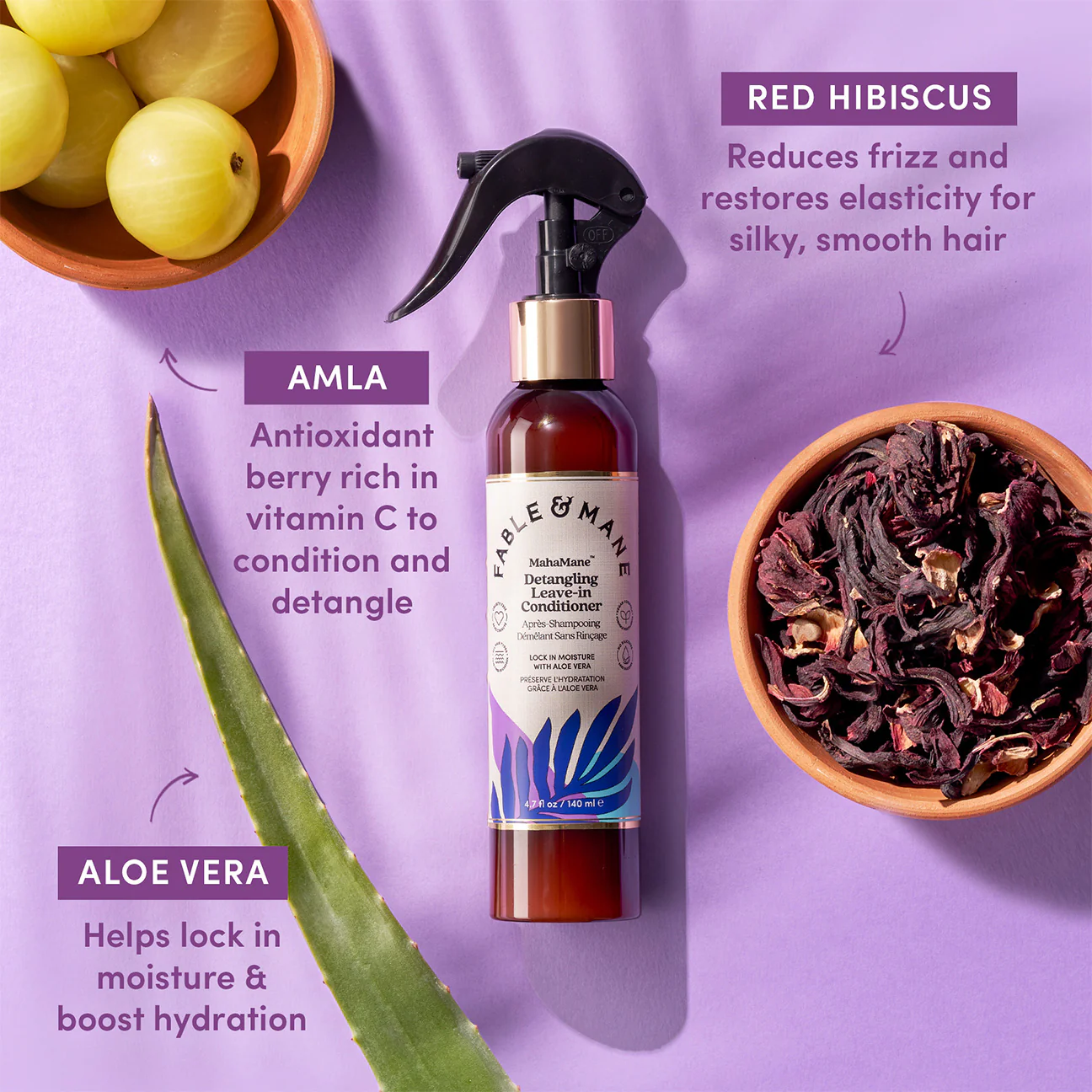 Detangle & Shine Duo - Image 7