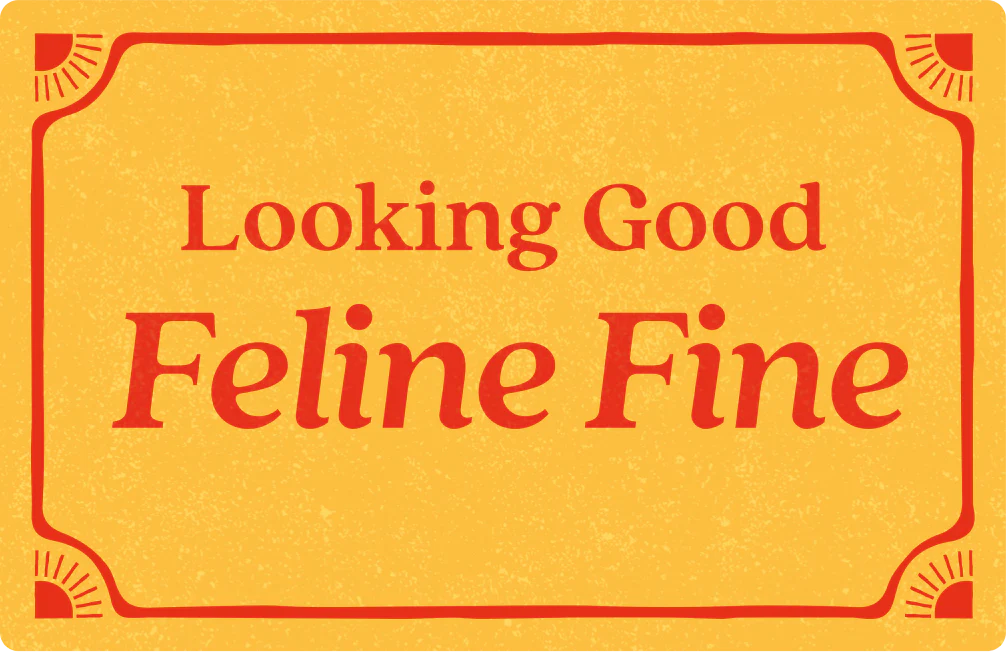 e-Gift Card - Image 5